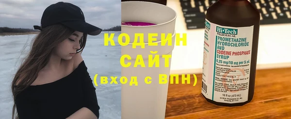 дмт Дмитров