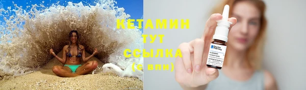 амф Дмитриев