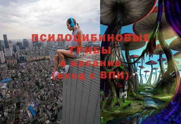 бутират Гусев