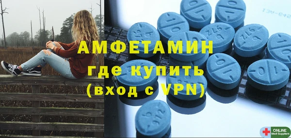 амф Дмитриев
